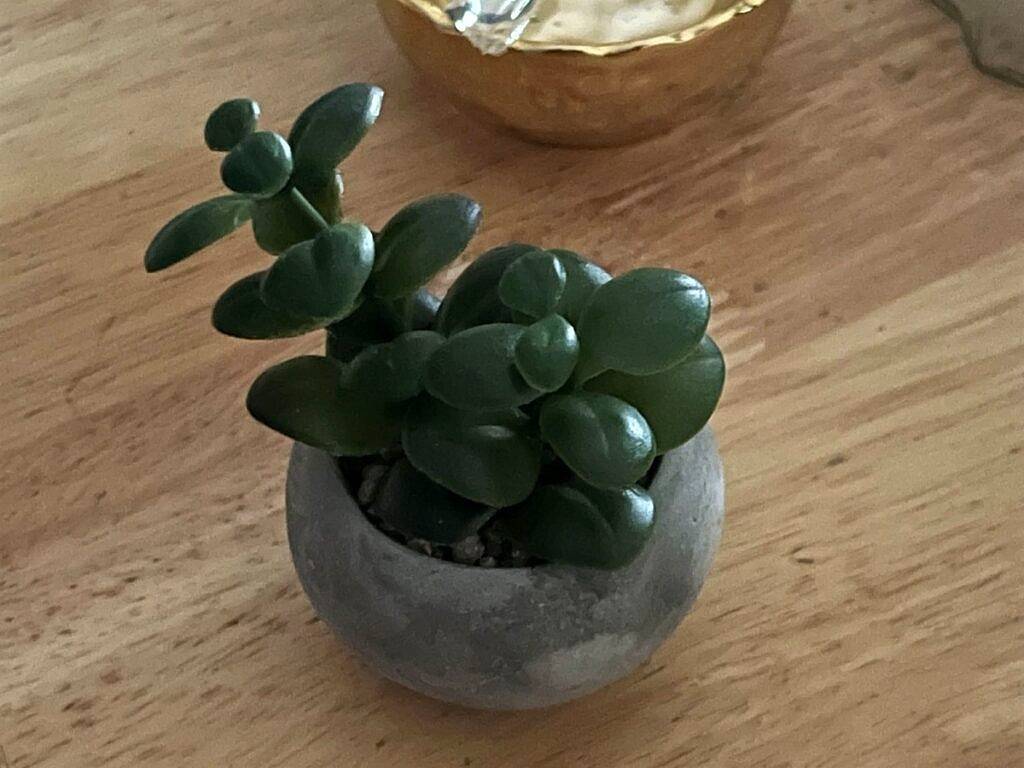 比较OnePlus 10 Pro和Apple iPhone 13 Pro：选择适合你的手机