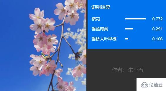 利用Python自动识别和整理花卉种类