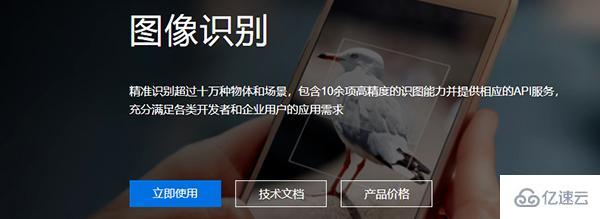 利用Python自动识别和整理花卉种类