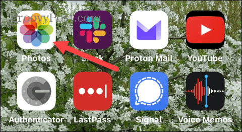 如何从 iCloud 中删除照片