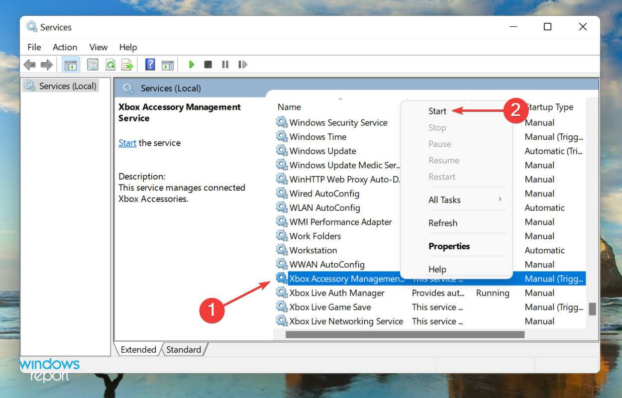Xbox 应用程序无法在 Windows 11 中启动游戏？尝试这些修复