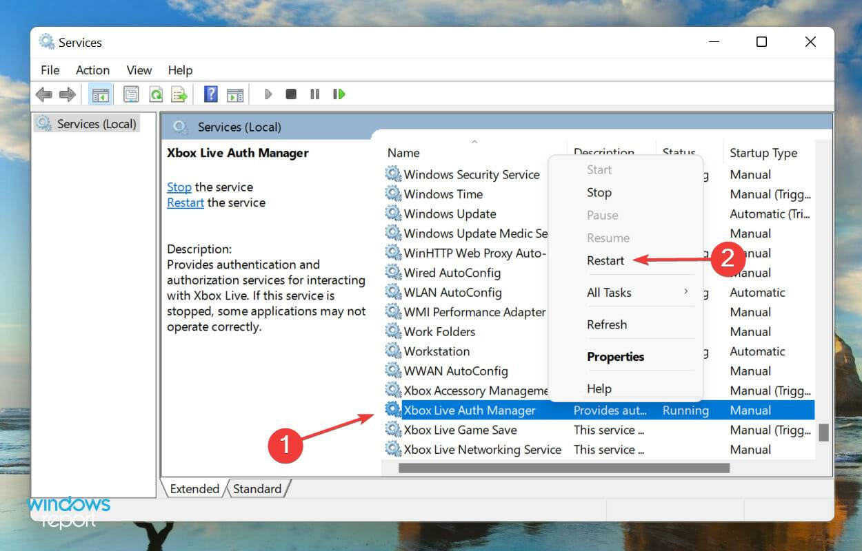 Xbox 应用程序无法在 Windows 11 中启动游戏？尝试这些修复