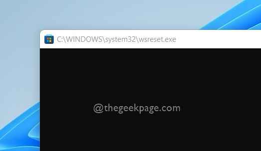 修复：Windows 11 或 10 中的 Windows 应用商店错误 0x803fb005