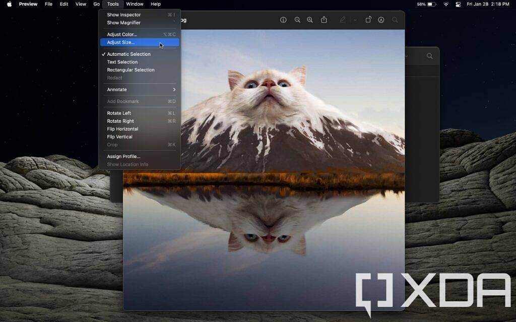 如何在 Mac 上调整图像大小