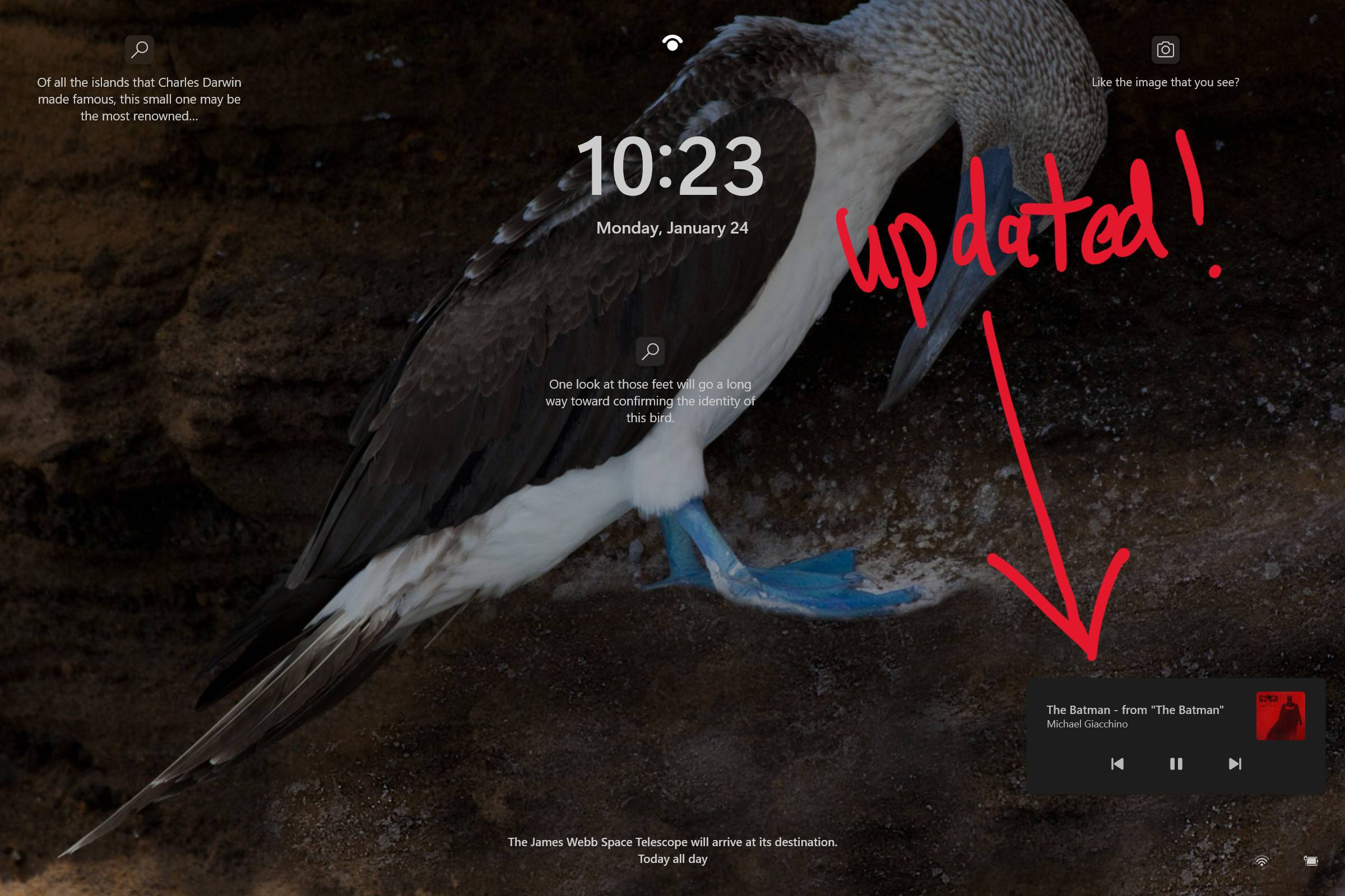 开发频道中的 Windows 11 内部版本 22543 将“Jenny”和“Aria”添加到讲述人，以及修复