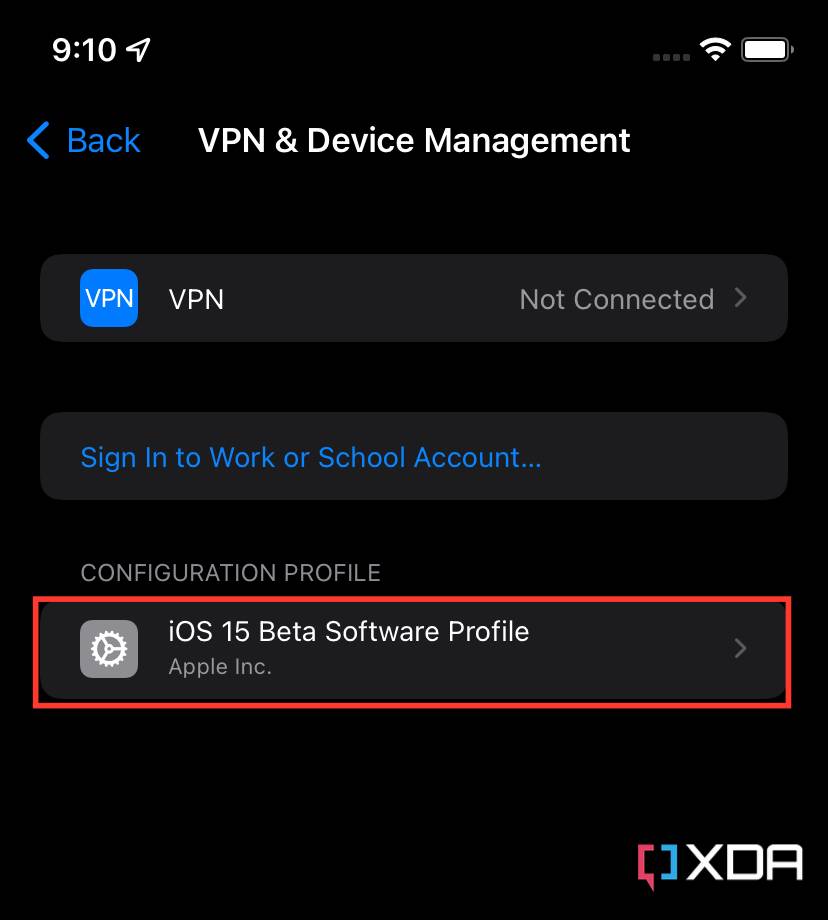 如何在 iPhone 或 iPad 上从 iOS 或 iPadOS 测试版切换到稳定版