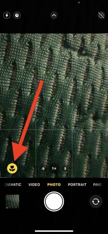 如何使用 iPhone 13 Pro 拍摄微距照片
