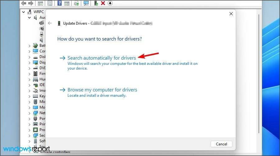 在 Windows 11 上出现 BSOD 错误？这是做什么，如何修复 Windows 11 上的 BSOD 错误？