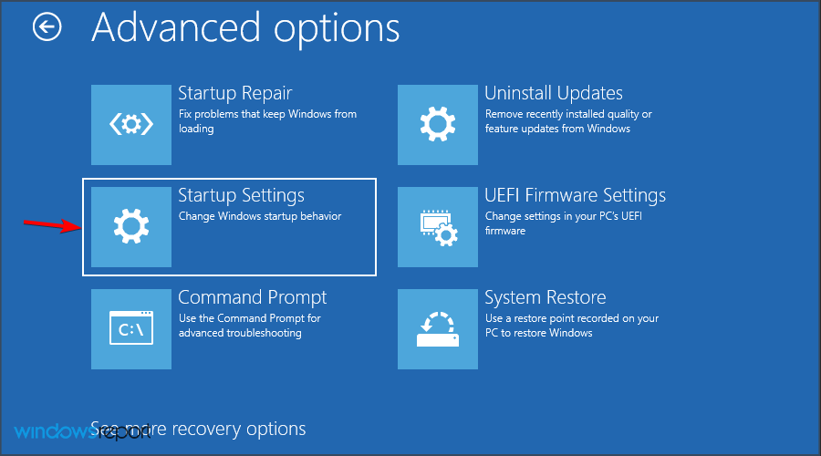 在 Windows 11 上出现 BSOD 错误？这是做什么，如何修复 Windows 11 上的 BSOD 错误？