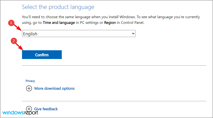 在 Windows 11 上出现 BSOD 错误？这是做什么，如何修复 Windows 11 上的 BSOD 错误？