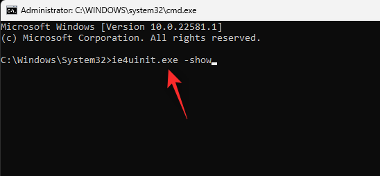 在 Windows 11 中自定义和更改图标的 4 种简单方法