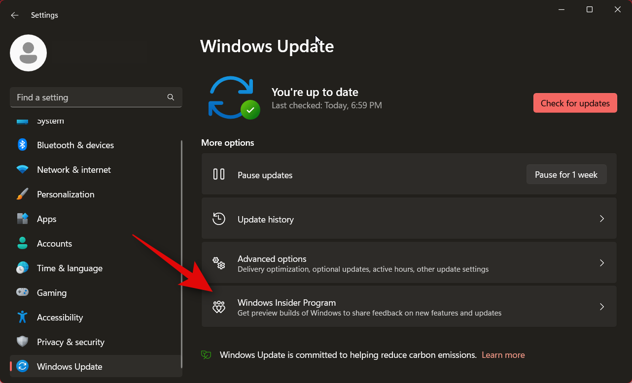 如何安装 Windows 11 金丝雀版本