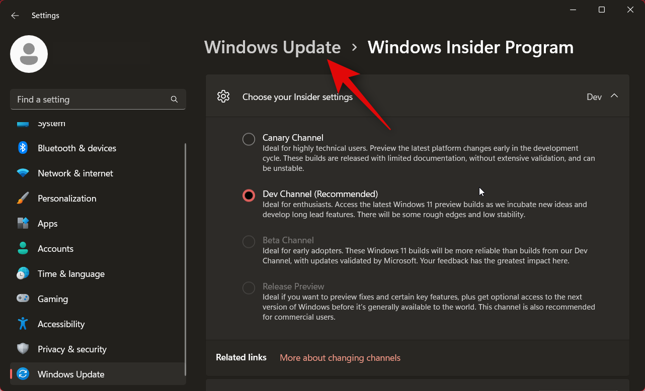 如何安装 Windows 11 金丝雀版本