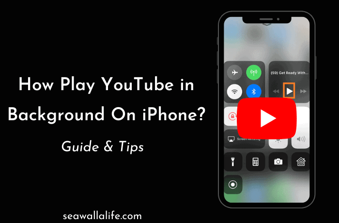 如何在iPhone 13上的后台播放YouTube？