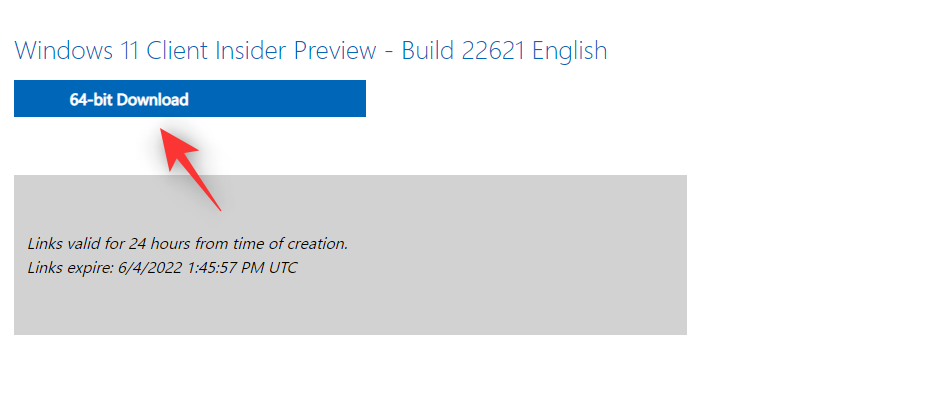 立即安装 Windows 11 22H2 更新的 2 种简单方法