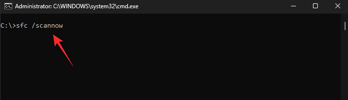 Windows 11 上的 BSOD 错误“非分页区域中的页面错误”：13 种修复方法