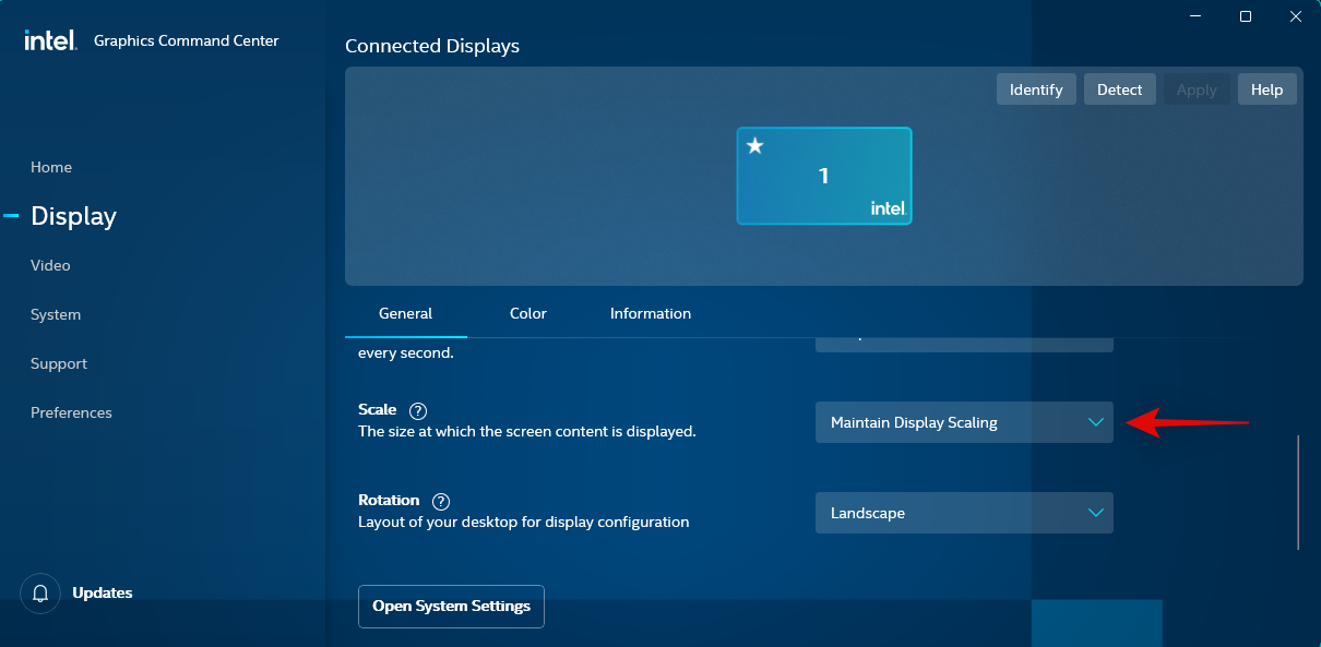 在 Windows 11 上调整屏幕以监控的 5 种方法（和修复）