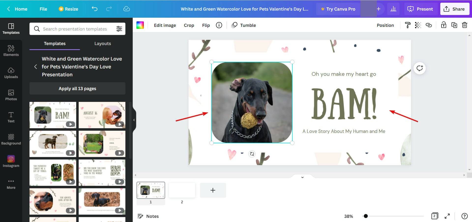如何在 Windows 10 和 11 上制作带有音乐的幻灯片
