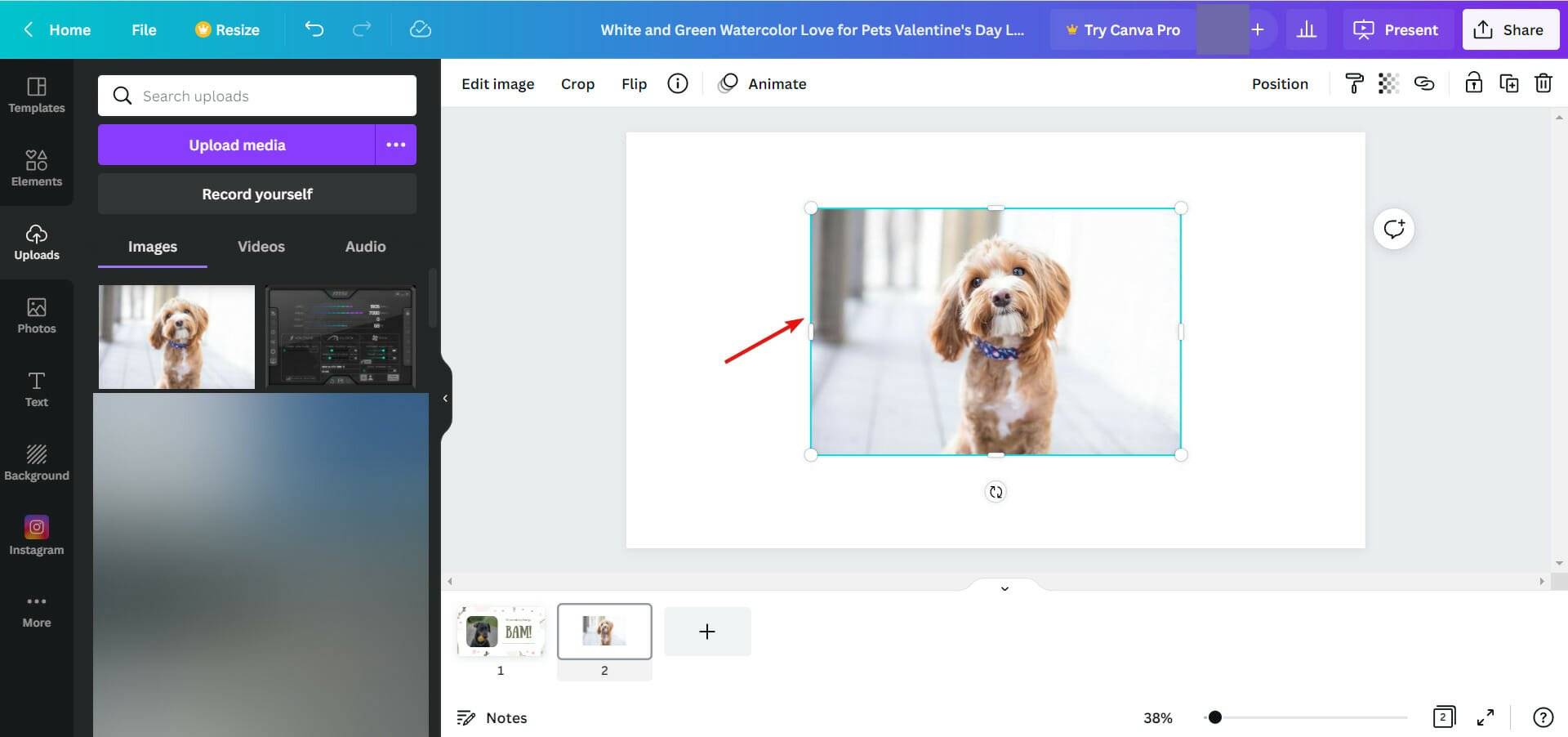 如何在 Windows 10 和 11 上制作带有音乐的幻灯片