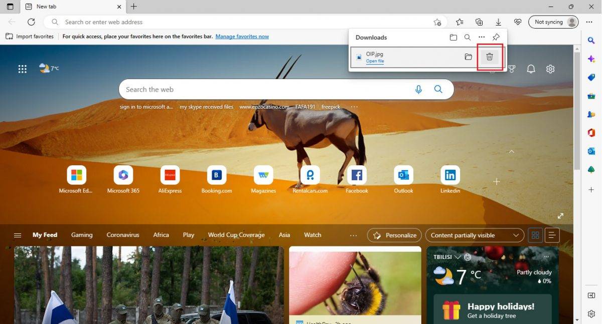 Microsoft Edge 如何查看和清除下载历史记录？