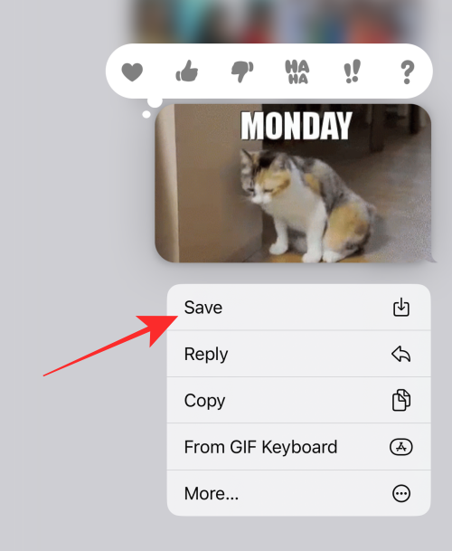 GIF 不能在 iPhone 上运行？如何以 10 种方式修复