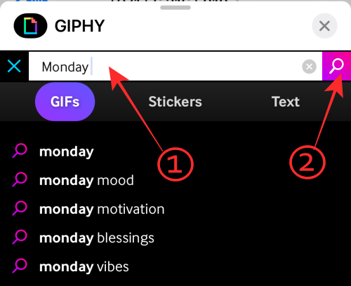 GIF 不能在 iPhone 上运行？如何以 10 种方式修复