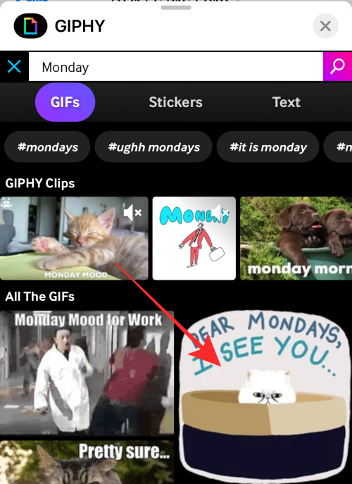 GIF 不能在 iPhone 上运行？如何以 10 种方式修复