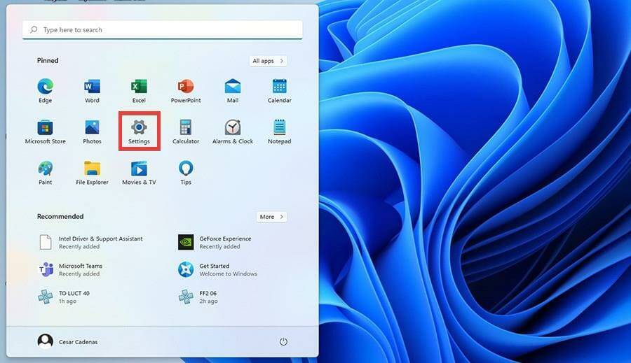在 Windows 11 上使用文本转语音和语音识别