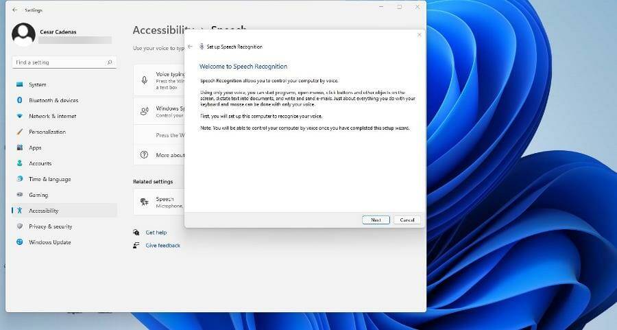 在 Windows 11 上使用文本转语音和语音识别