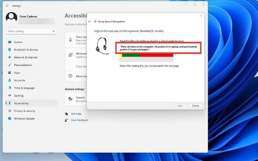 在 Windows 11 上使用文本转语音和语音识别