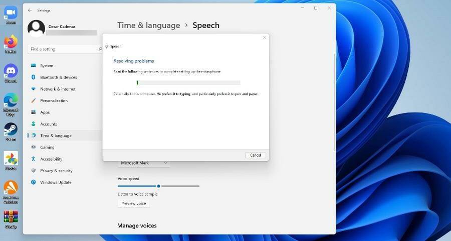 在 Windows 11 上使用文本转语音和语音识别