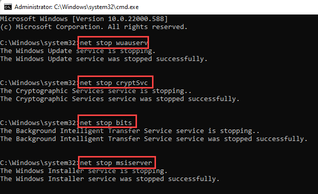 修复：在 Windows 11/ 10 中重置后 Microsoft Store 无法正常工作