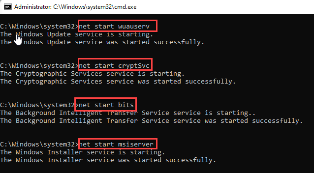 修复：在 Windows 11/ 10 中重置后 Microsoft Store 无法正常工作