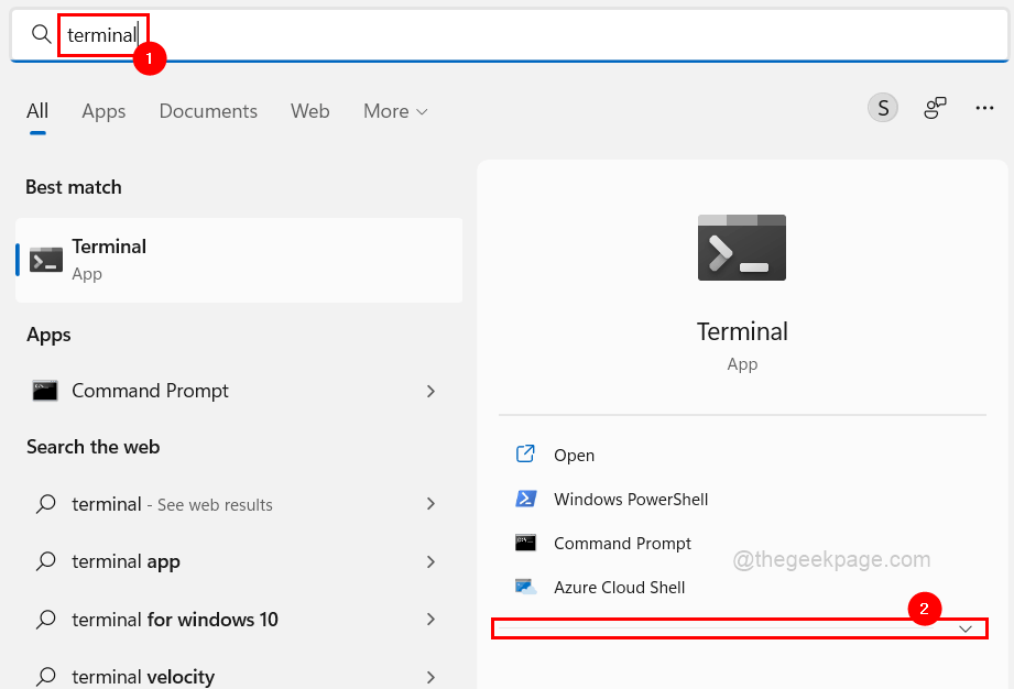 修复：Windows 在 Windows 11 / 10 上找不到“wt.exe”错误