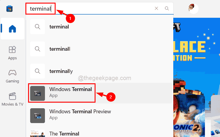 修复：Windows 在 Windows 11 / 10 上找不到“wt.exe”错误