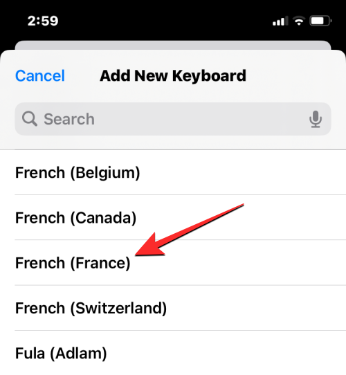 在 iPhone 上更改语言：分步教程