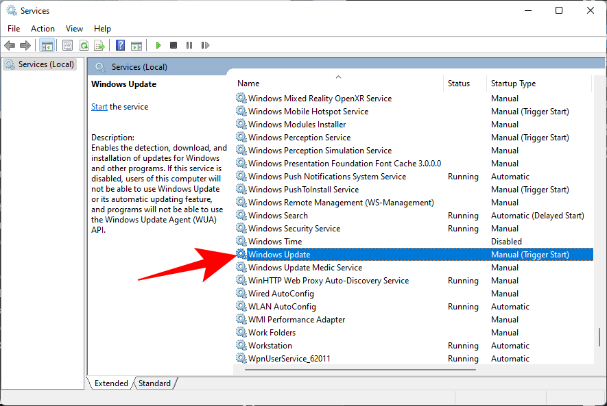 如何在 Windows 11 上禁用更新