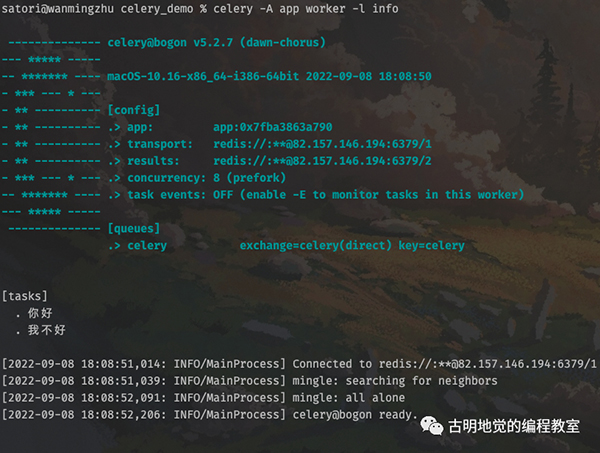 Python 强大的任务调度框架 Celery！