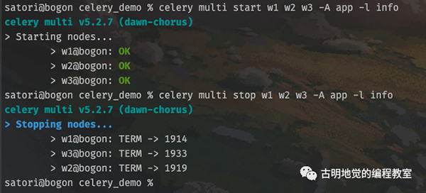 Python 强大的任务调度框架 Celery！