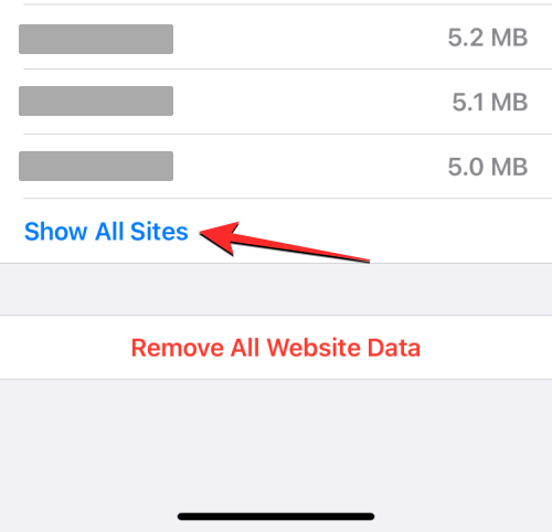 删除 iPhone 上的 cookie：分步教程