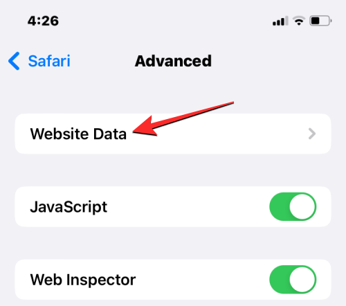 删除 iPhone 上的 cookie：分步教程