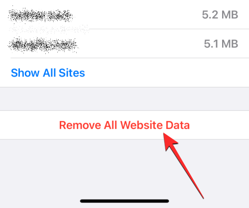 删除 iPhone 上的 cookie：分步教程