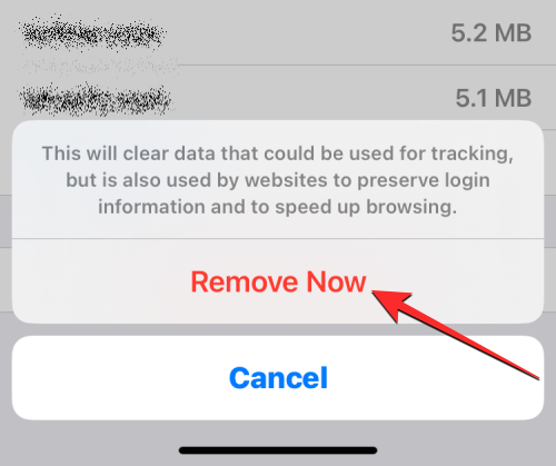 删除 iPhone 上的 cookie：分步教程