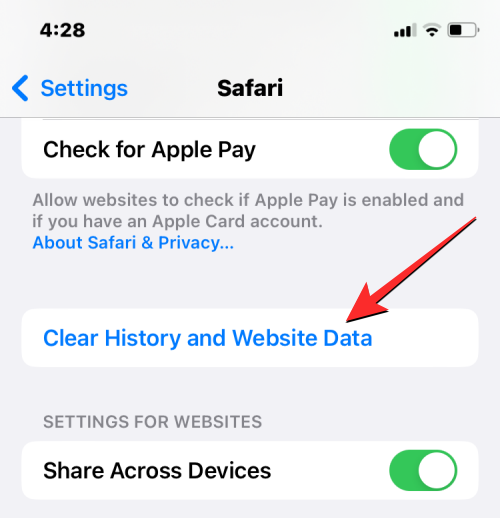 删除 iPhone 上的 cookie：分步教程