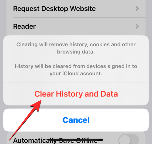 删除 iPhone 上的 cookie：分步教程