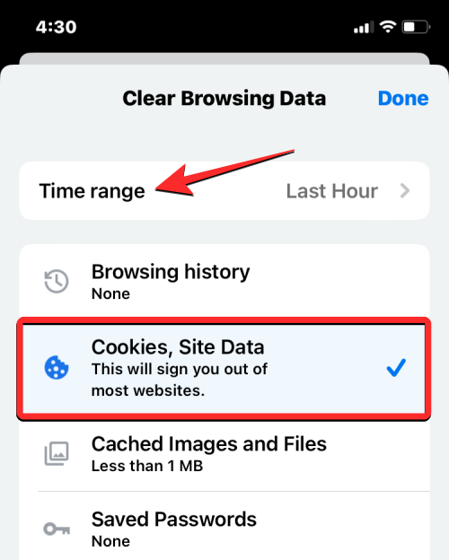 删除 iPhone 上的 cookie：分步教程