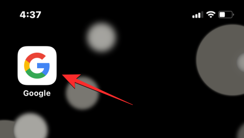 删除 iPhone 上的 cookie：分步教程