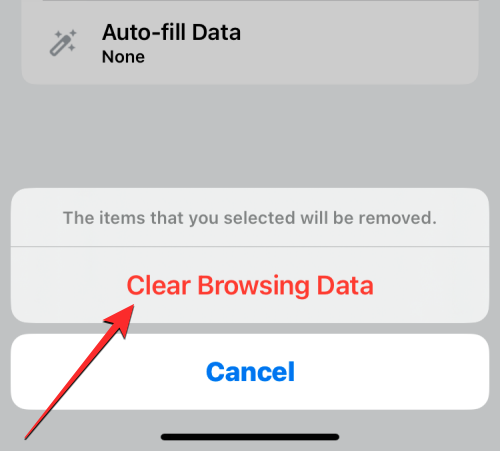 删除 iPhone 上的 cookie：分步教程