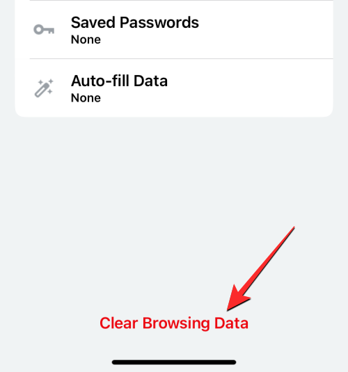 删除 iPhone 上的 cookie：分步教程