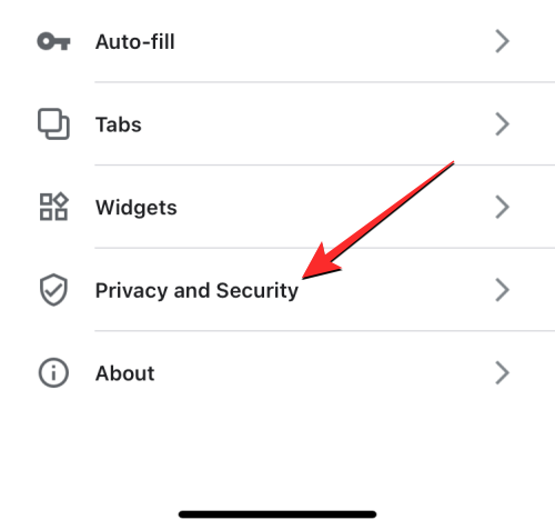 删除 iPhone 上的 cookie：分步教程